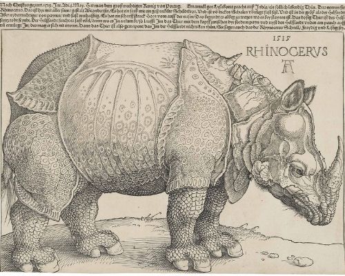 rhinocéros de dürer vendu 866 millions de dollars